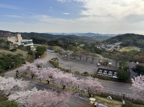 마우나 오션 리조트 경주 쿠폰
