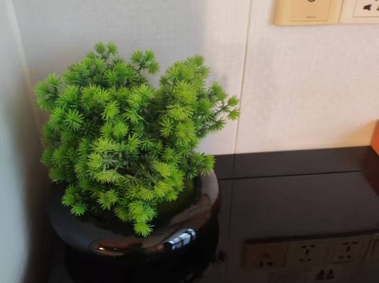 M•S美宿美樂汀藝術品酒店(蕪湖步行街店)優惠