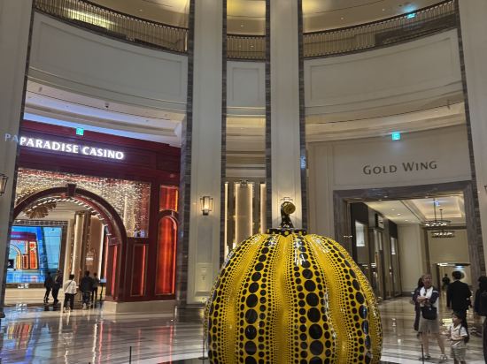 파라다이스시티 쿠폰