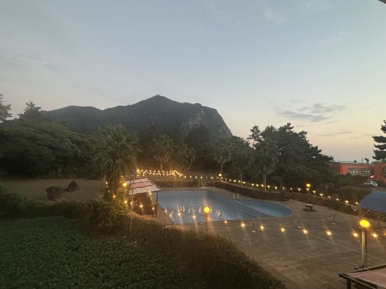 담모라 리조트 쿠폰