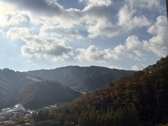 소노펠리체 비발디파크 쿠폰