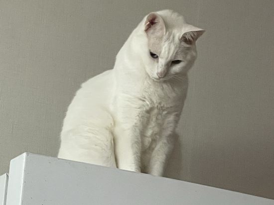 에그하우스 남이섬 게스트하우스 - 호스텔 쿠폰