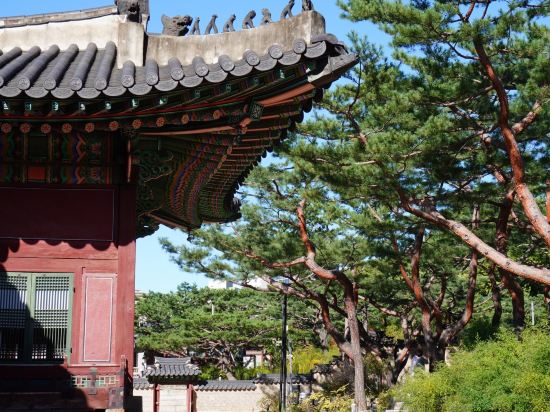 더 플라자 서울, 오토그래프 컬렉션 쿠폰