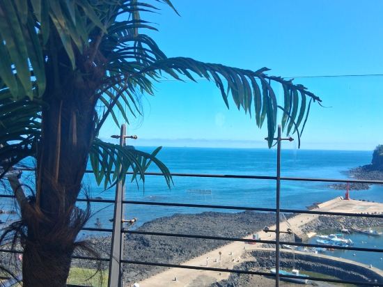 다인오세아노 호텔 쿠폰