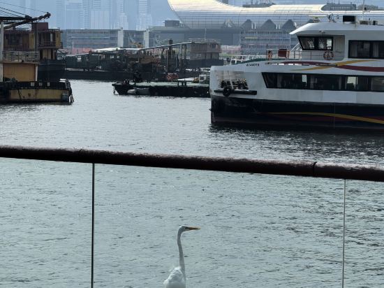 香港悦品海景酒店優惠