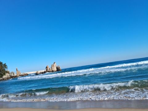 쏠비치 삼척 쿠폰