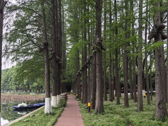 武漢翠柳村客舍優惠