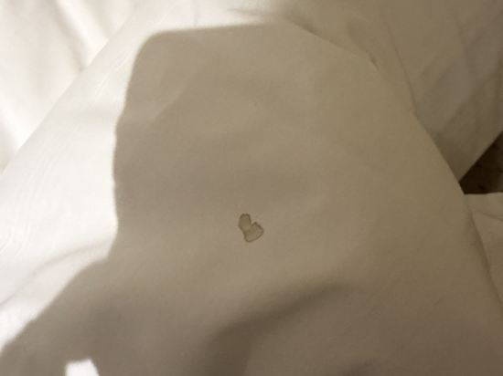 호텔 베뉴지 쿠폰