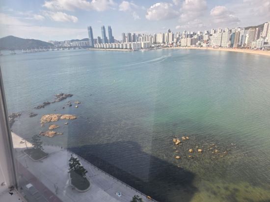 베스트루이스해밀턴호텔 오션테라스 쿠폰