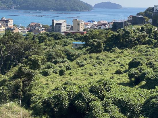 프래밀리 풀빌라 앤 호텔 쿠폰