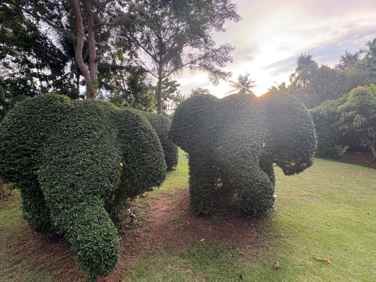 布吉椰島村舍度假酒店(SHA Extra Plus)優惠