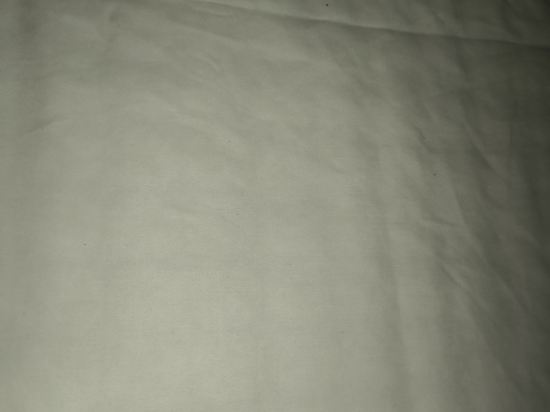 구포 캣츠모텔 쿠폰