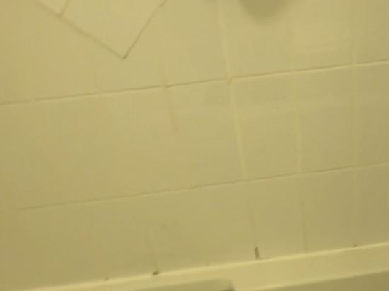 假日曼徹斯特西區酒店優惠