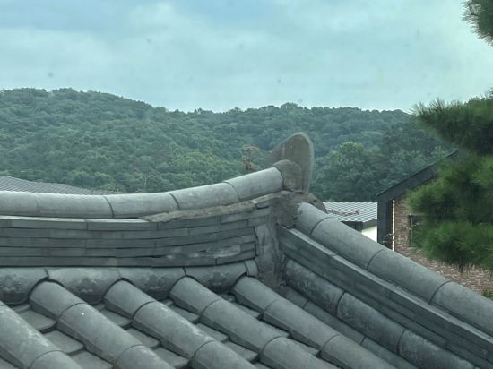 파주 테라 펜션 쿠폰