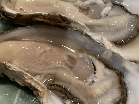 天然温泉 幣舞の湯 ラビスタ釧路川 クーポン