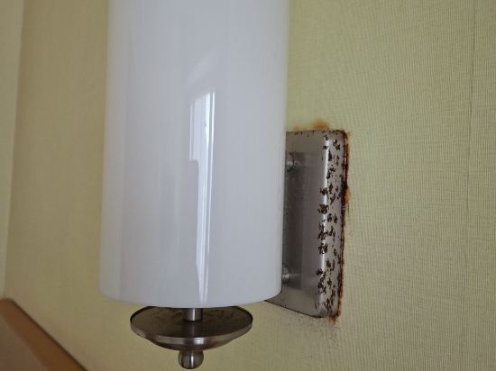 香港悦品海景酒店優惠