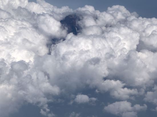 インターナショナルガーデン成田 クーポン