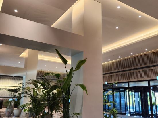 그랜드 조선 제주 쿠폰