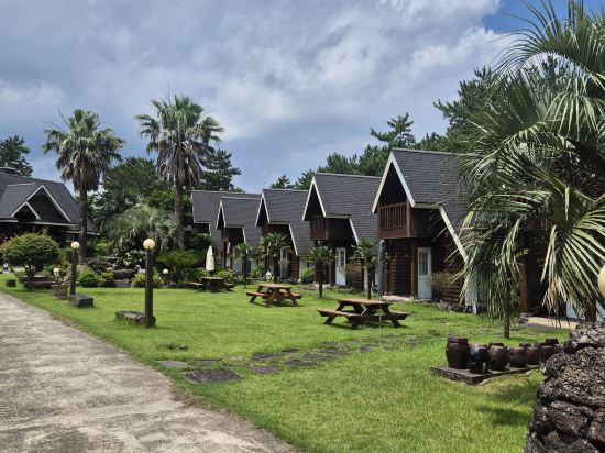 브라운캐빈 쿠폰