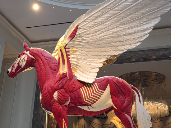 파라다이스시티 쿠폰