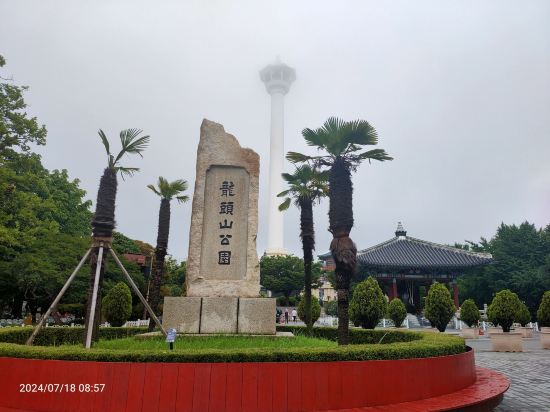 넘버25시그니처호텔 대청점 쿠폰