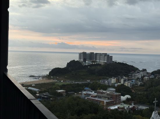 호텔더블루테라 쿠폰