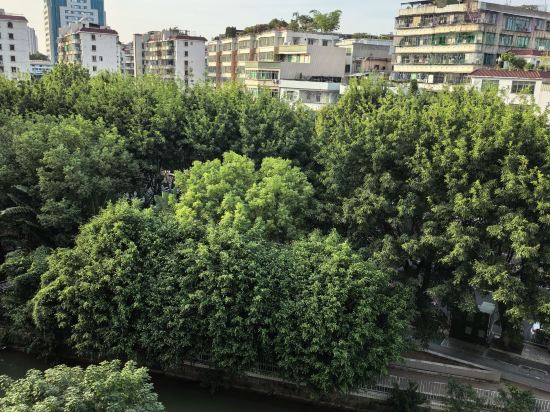 麗楓酒店(潮州潮楓路和諧雅筑店)優惠