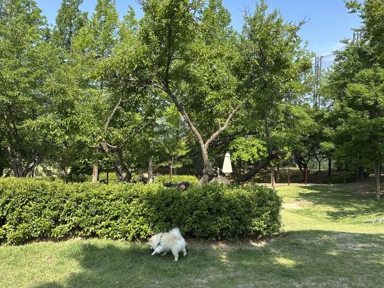 스위트 호텔 경주 쿠폰