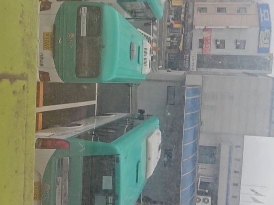 에그하우스 남이섬 게스트하우스 - 호스텔 쿠폰