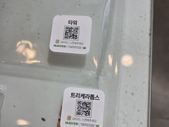 비발디 파크 쿠폰