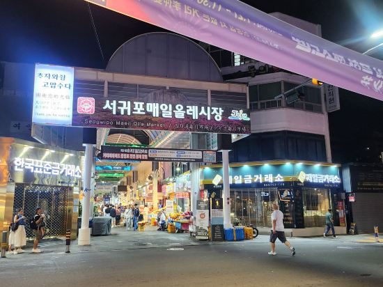 호텔 브릿지 서귀포 쿠폰