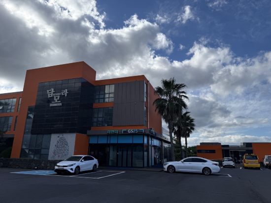 담모라 리조트 쿠폰