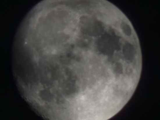 비발디 파크 쿠폰