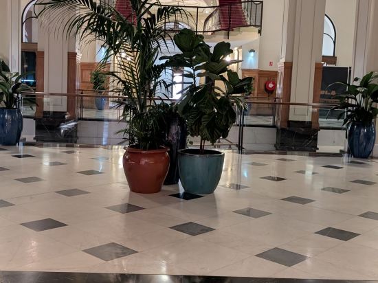 悉尼富麗敦酒店優惠