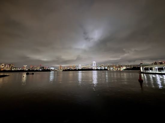 ダイワロイネットホテル東京有明 クーポン
