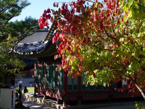 더 플라자 서울, 오토그래프 컬렉션 쿠폰