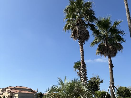 캠퍼트리 호텔 & 리조트 쿠폰