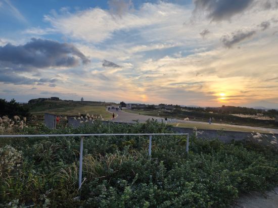 휘닉스 제주 섭지 코지 쿠폰