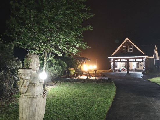 브라운캐빈 쿠폰