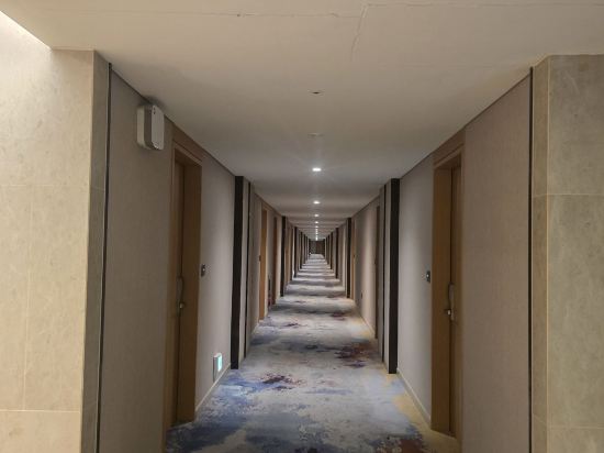 정동진 썬크루즈 쿠폰