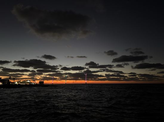 메가리조트 쿠폰