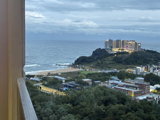 호텔더블루테라 쿠폰