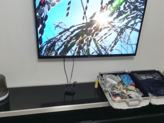 花蕾精品酒店式公寓(珠海華髮商都店)優惠