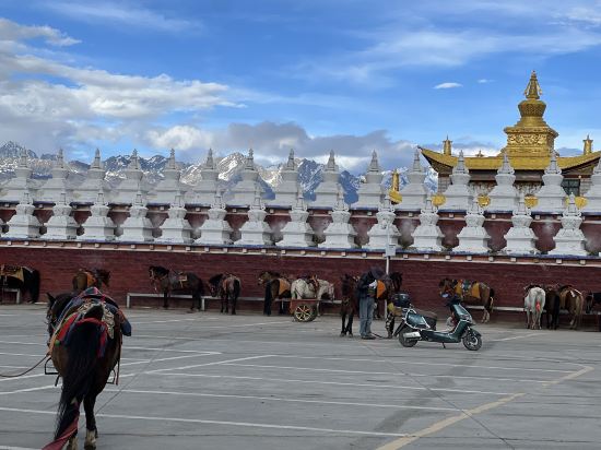 康定塔公草原曼達拉酒店優惠