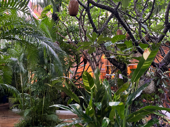 宮門度假酒店優惠