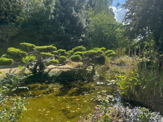 貝爾蒙特城堡之旅克萊芙酒店優惠