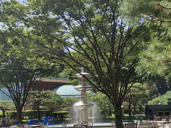 소노펠리체 비발디파크 쿠폰