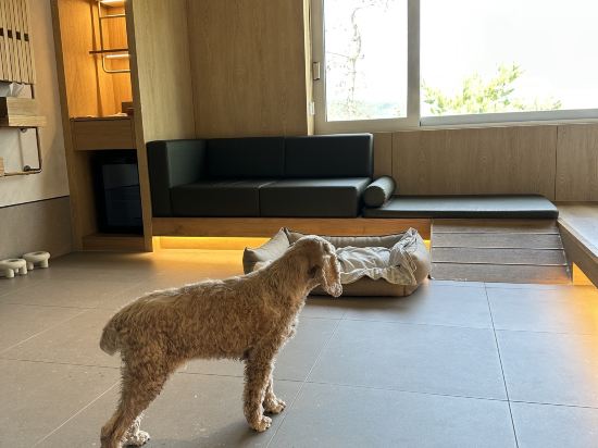 스위트 호텔 경주 쿠폰