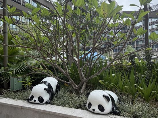 香港海洋公園萬豪酒店優惠