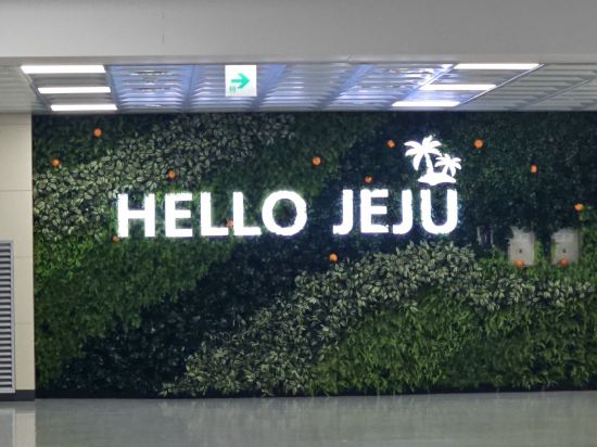 제주센트럴시티호텔 쿠폰